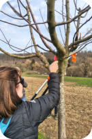 Foto: B. Masur, 28.02.2026