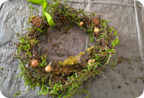 Foto: Birgit Masur, 21.03.2026 