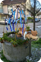 Foto: B. Masur, 20.03.2026