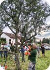 Foto: B. Masur, 28.08.2026