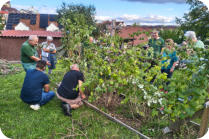 Foto: B. Masur, 18.09.2026 