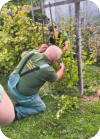Foto: Birgit Masur, 18.09.2026