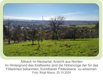 Altbach im Neckartal, Ansicht aus Norden Im Hintergrund des Kraftwerks sind die Höhenzüge der für das Filderkraut bekannten, fruchtbaren Filderebene  zu erkennen. Foto: Birgit Masur, 25.10.2024