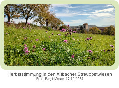 Herbststimmung in den Altbacher Streuobstwiesen Foto: Birgit Masur, 17.10.2024