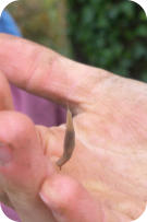 Foto: B. Masur, 26.09.2025