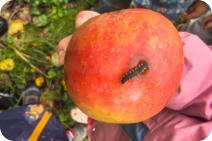 Foto: B. Masur, 26.09.2025 