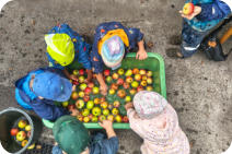 Foto: B. Masur, 29.09.2025 