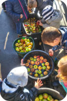 Foto: B. Masur, 02.10.2025