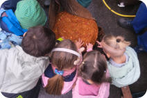 Foto: B. Masur, 09.10.2025 