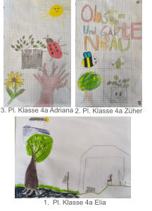 3. Pl. Klasse 4a Adriana 2. Pl. Klasse 4a Züher 	1.	Pl. Klasse 4a Elia