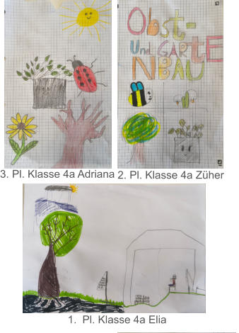 3. Pl. Klasse 4a Adriana 2. Pl. Klasse 4a Züher 	1.	Pl. Klasse 4a Elia