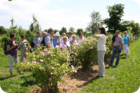 Foto: Birgit Masur, 29.06.2013