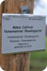 Foto: Birgit Masur, 22.11.2023