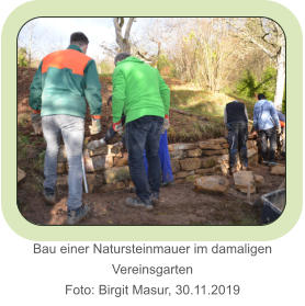 Bau einer Natursteinmauer im damaligen Vereinsgarten Foto: Birgit Masur, 30.11.2019