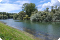Foto: R. Masurat, 16.06.2024 