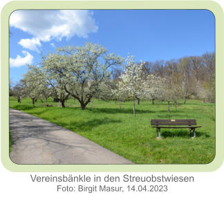 Vereinsbänkle in den Streuobstwiesen Foto: Birgit Masur, 14.04.2023