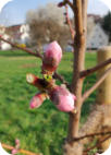Foto: Birgit Masur, 28.03.2025