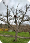 Foto: Birgit Masur, 29.03.2025