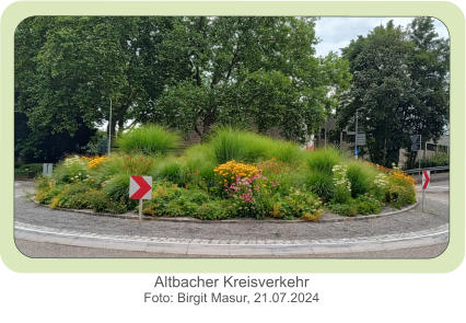 Altbacher Kreisverkehr Foto: Birgit Masur, 21.07.2024